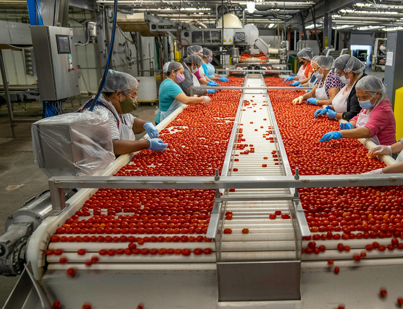 Steeds meer asielzoekers aan het werk